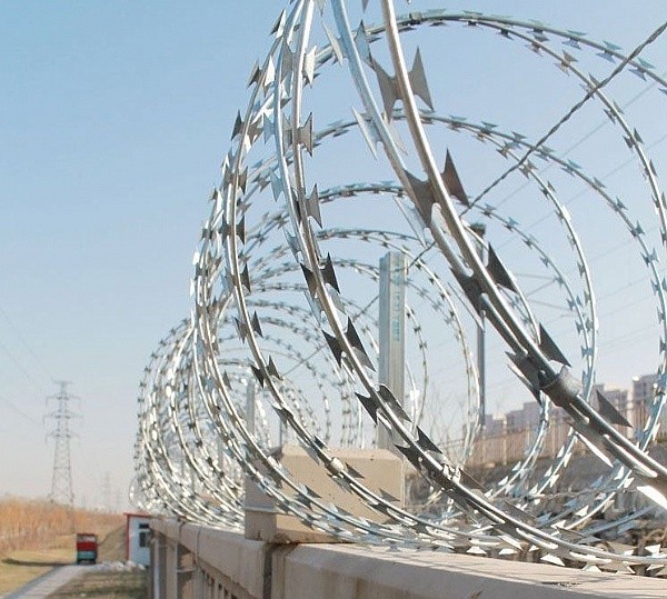 Elettro Galvanized1.5mmx1.5mm Diamond Welded Razor Wire Mesh 3